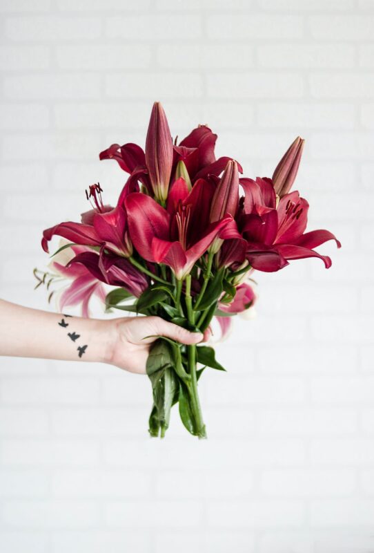 De populairste bloemen voor in je interieur en hun symboliek